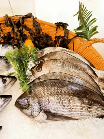 Beaux poissons