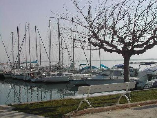13T4014743_1_WEB.jpg