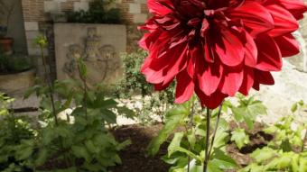 JARDIN MED VAULUISANT.JPG