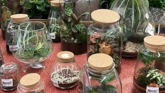 Les JdC Garden Trends 2024 Marseille