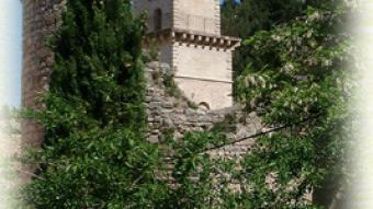 13T2001149_1_WEB.jpg