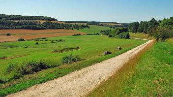 Combe du Chanet à Praslay