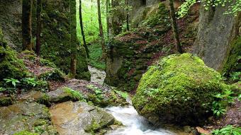 Gorges de la Vingeanne