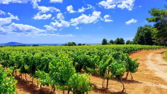 Rando Via Domitia PINET
