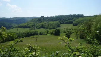 Vue de la Réserve naturelle régionale de la côte de Mancy 01